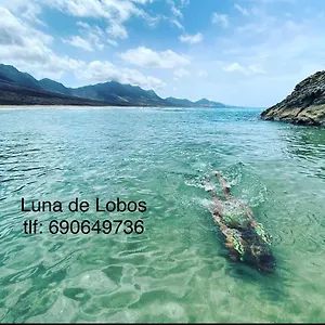 las-olas-de-lobos-corralejo.hotelsfuerteventura.org/